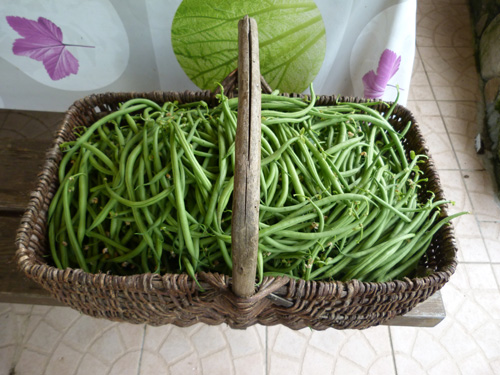 Gîte à la ferme